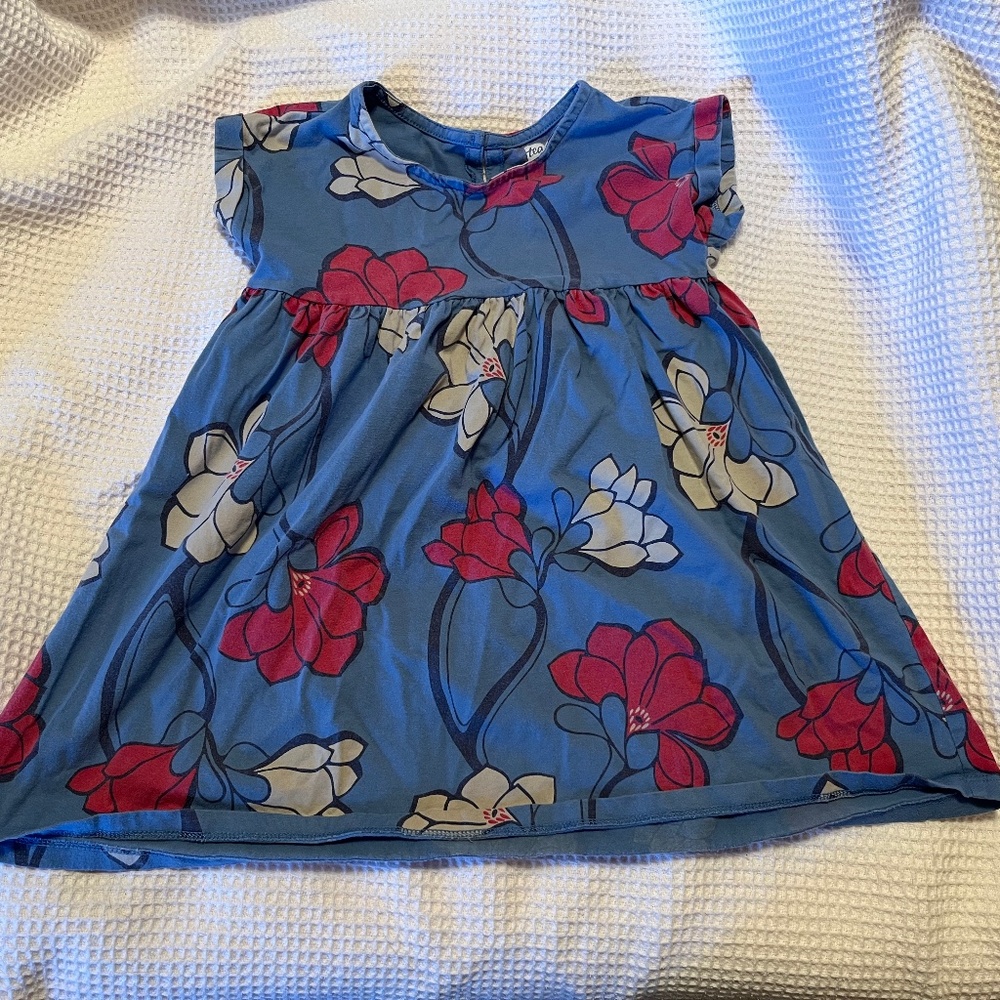 Tea Collection size 4 kids girls blue floral wide skirt dress